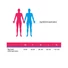 Picture 15/15 -size chart